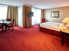 Zimmerbild 10
