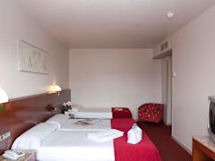 Zimmerbild 21