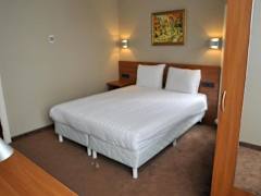 Zimmerbild 9