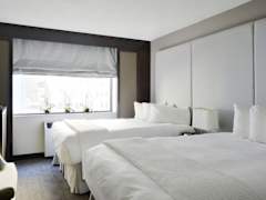 Zimmerbild 11