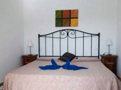 Zimmerbild 11