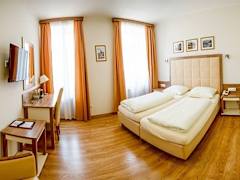 Zimmerbild 13