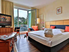 Zimmerbild 6