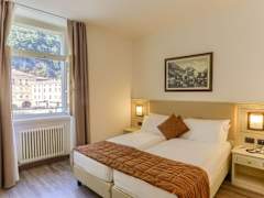 Zimmerbild 8