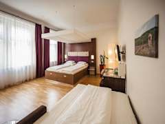Zimmerbild 10
