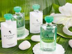 Zimmerbild 1