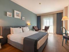 Zimmerbild 6
