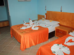 Zimmerbild 8