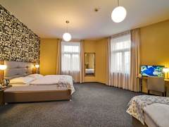 Zimmerbild 7