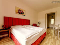 Zimmerbild 23
