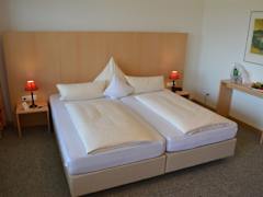 Zimmerbild 9