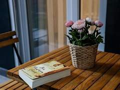 Zimmerbild 13