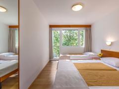 Zimmerbild 3