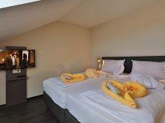 Zimmerbild 11