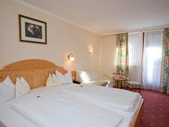 Zimmerbild 7