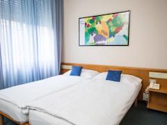 Zimmerbild 11