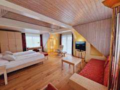Zimmerbild 4