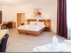 Zimmerbild 11