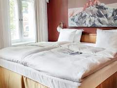 Zimmerbild 9