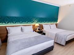 Zimmerbild 6