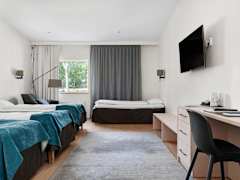 Zimmerbild 6