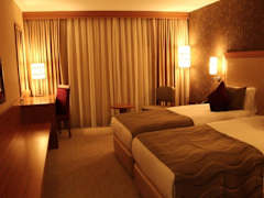 Zimmerbild 6