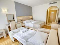 Zimmerbild 6