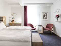 Zimmerbild 11