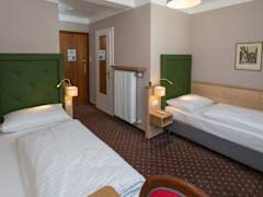 Zimmerbild 9