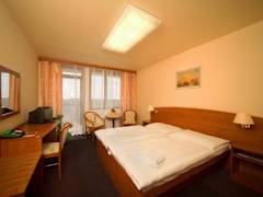 Zimmerbild 11