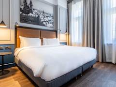 Zimmerbild 12