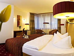 Zimmerbild 8