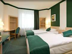 Zimmerbild 11