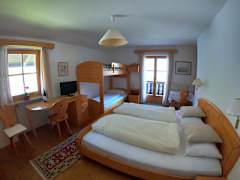 Zimmerbild 8