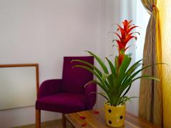 Zimmerbild 8