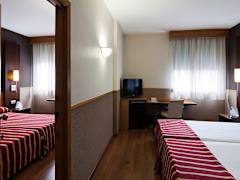 Zimmerbild 11