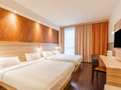Zimmerbild 7