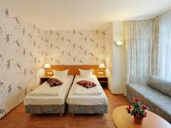 Zimmerbild 9