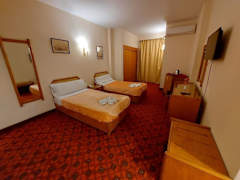 Zimmerbild 7