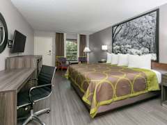 Zimmerbild 13