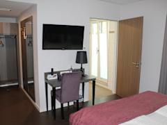 Zimmerbild 6