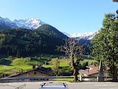 Zimmerbild 0