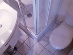 Zimmerbild 11