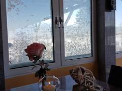 Zimmerbild 6