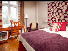 Zimmerbild 11