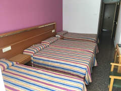 Zimmerbild 3