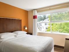 Zimmerbild 10