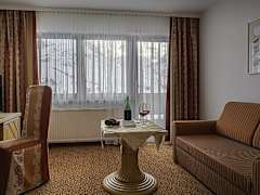Zimmerbild 11