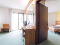 Zimmerbild 11