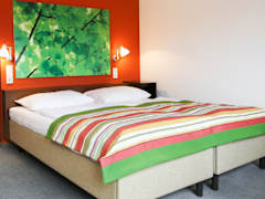 Zimmerbild 8